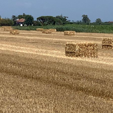 Agriturismo Ca' Alleata Каорле Екстер'єр фото