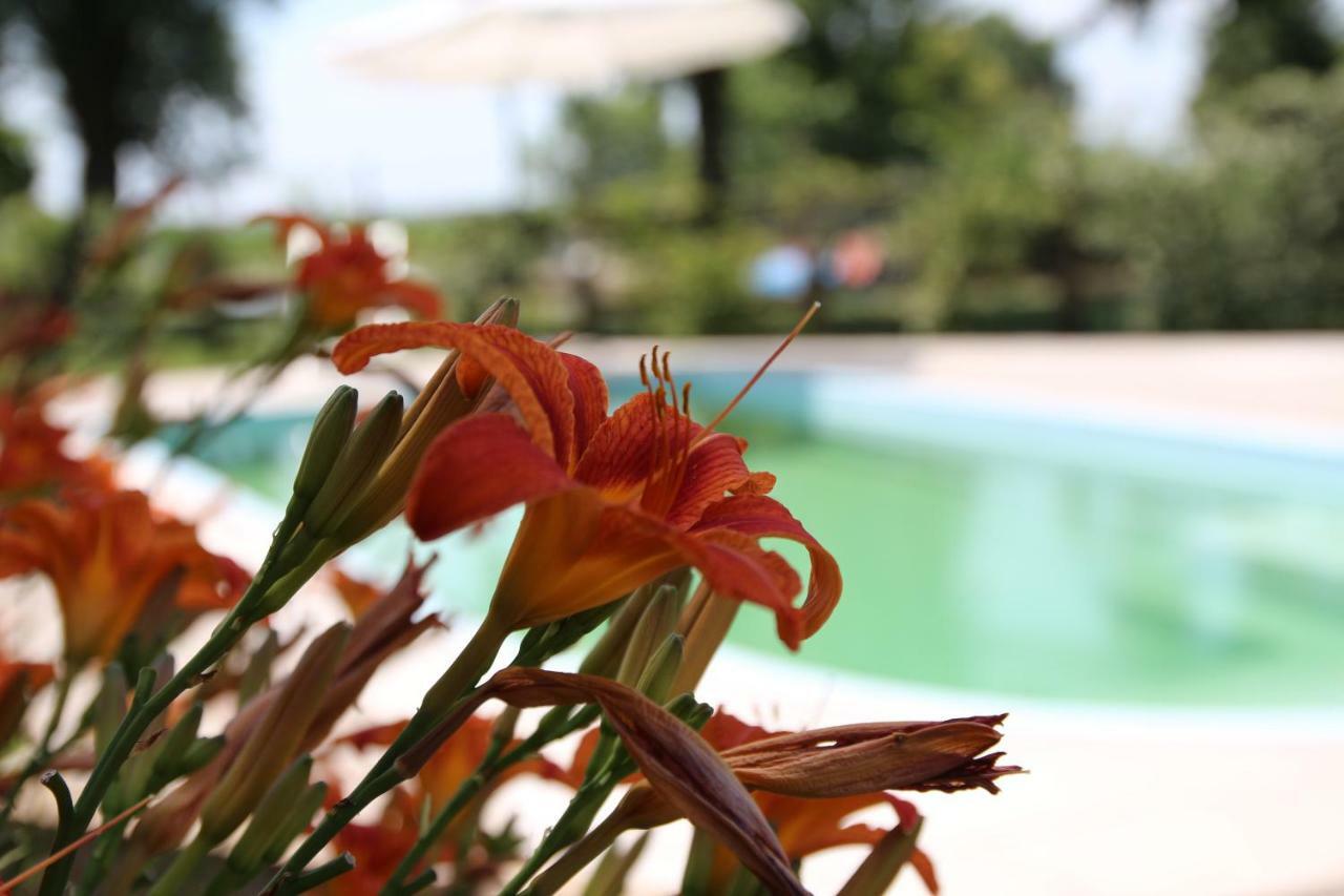 Agriturismo Ca' Alleata Каорле Екстер'єр фото